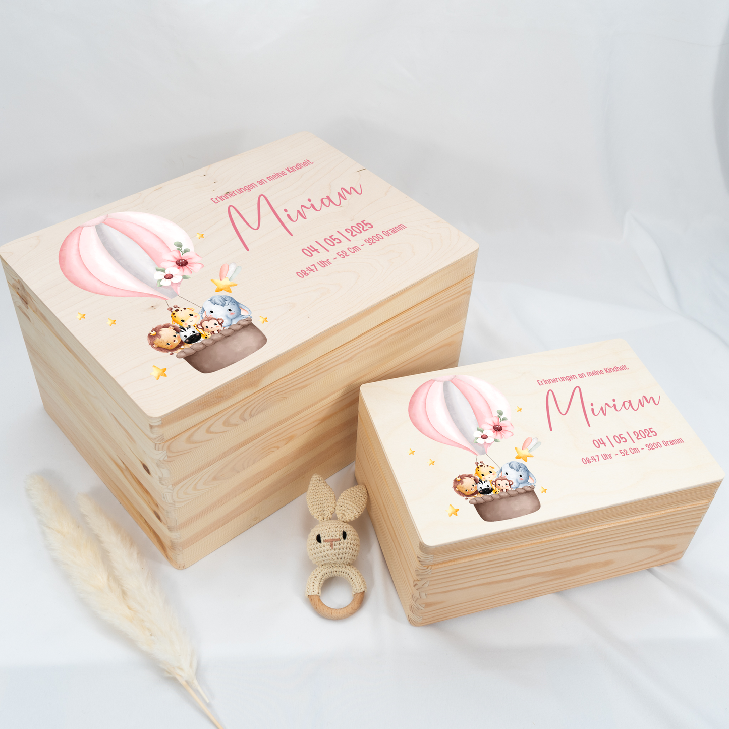 Personalized Memory Box - Baby Lion