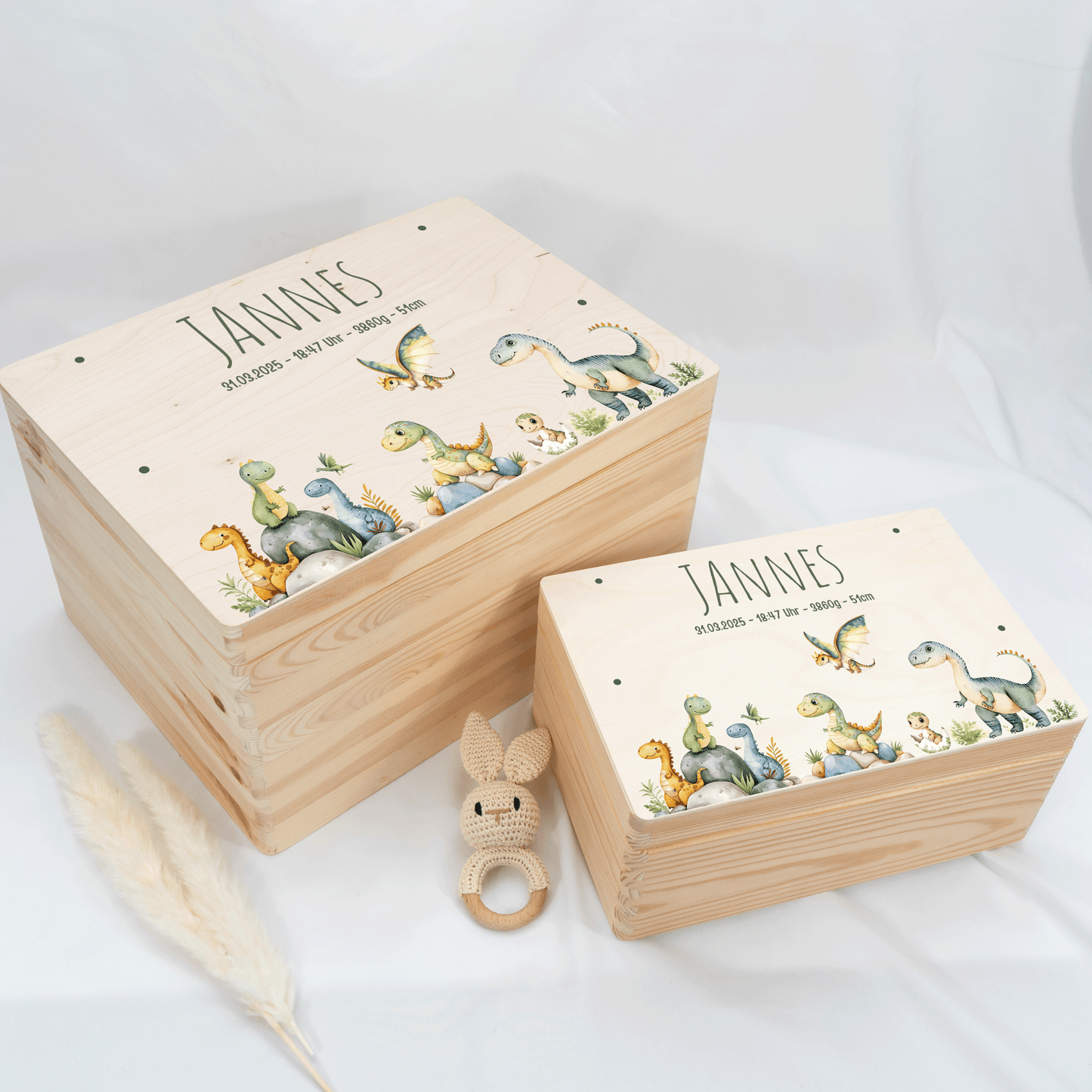 Personalized Memory Box - Baby Lion
