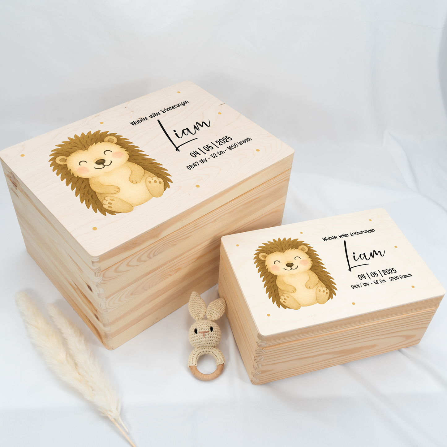 Personalized Memory Box - Baby Lion