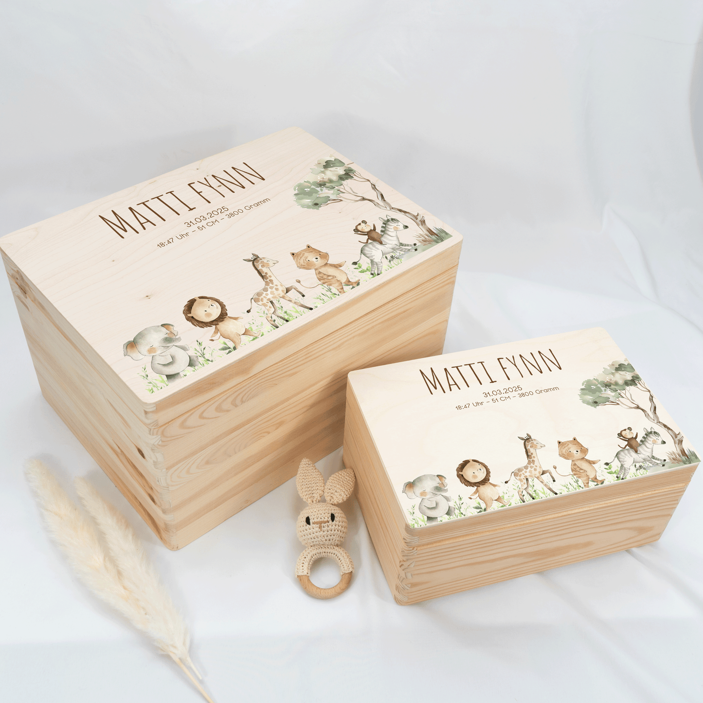 Personalized Memory Box - Baby Lion