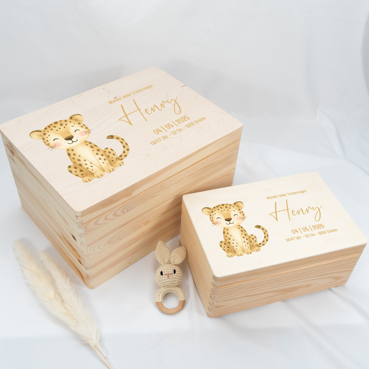 Personalized Memory Box - Baby Lion