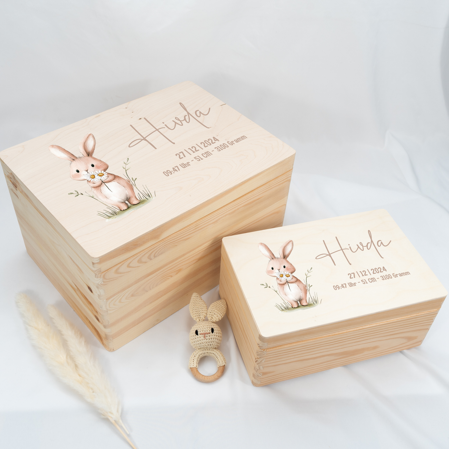 Personalized Memory Box - Baby Lion