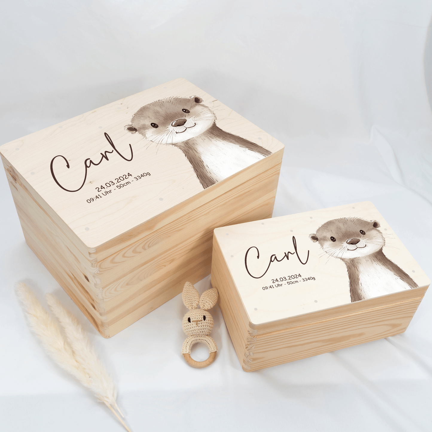 Personalized Memory Box - Baby Lion