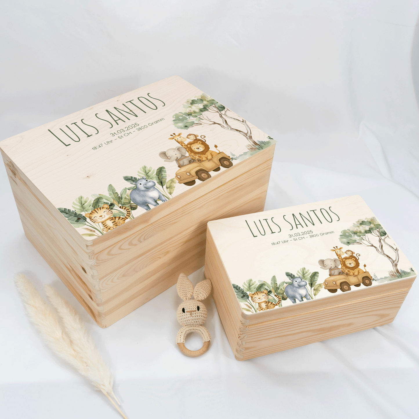Personalized Memory Box - Baby Lion