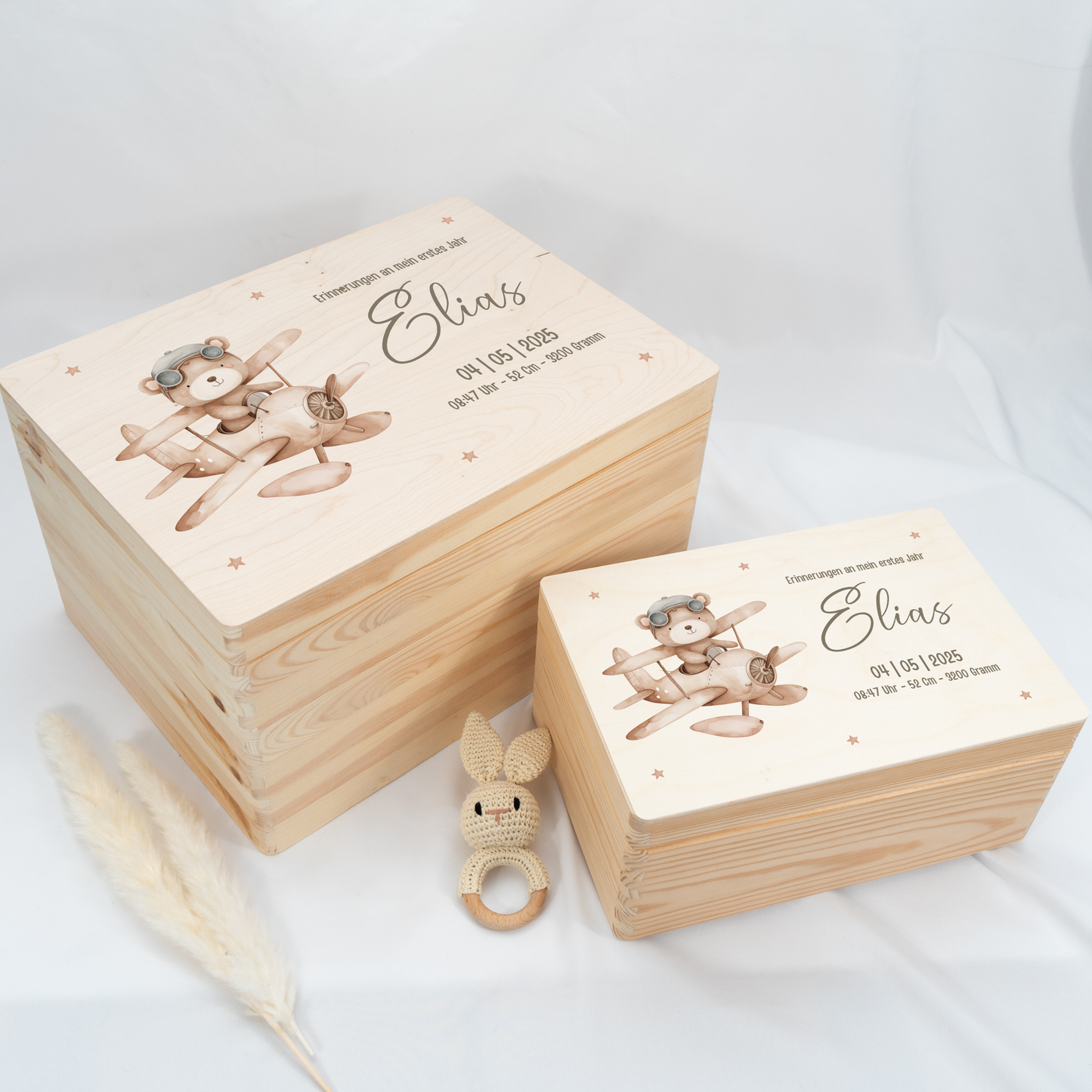 Personalized Memory Box - Baby Lion