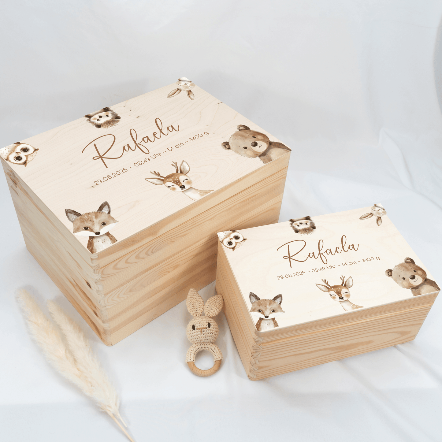 Personalized Memory Box - Baby Lion