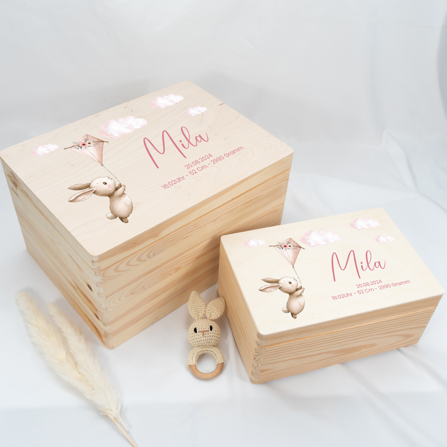 Personalized Memory Box - Baby Lion