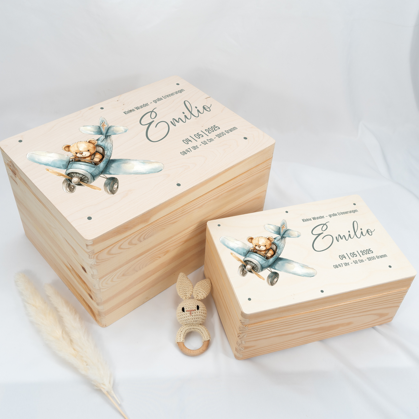 Personalized Memory Box - Baby Lion