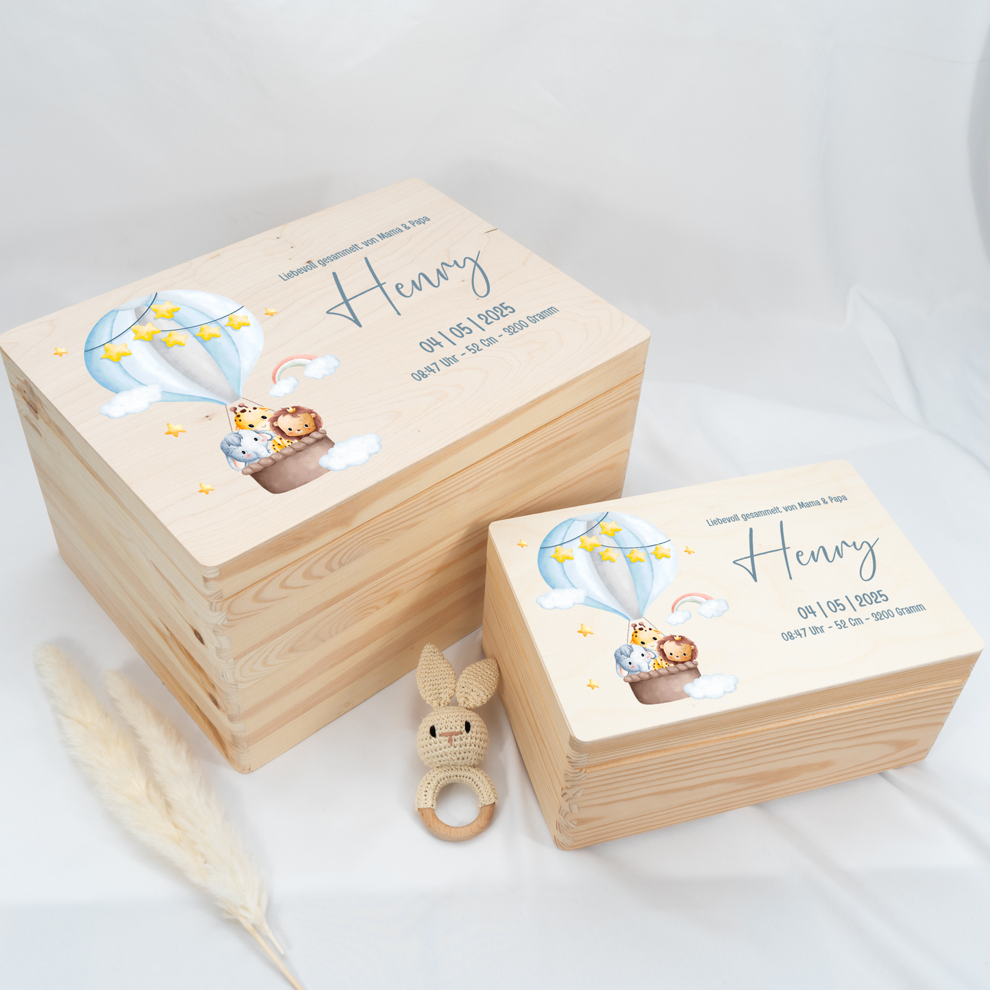 Personalized Memory Box - Baby Lion