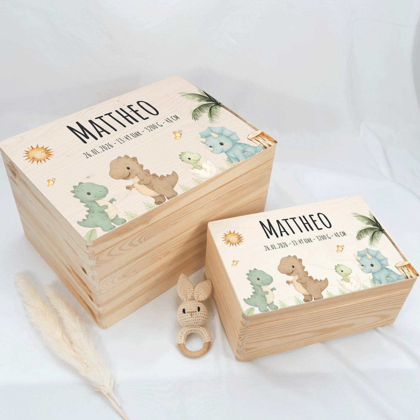 Personalisierte Erinnerungskiste - Dinofreunde 2