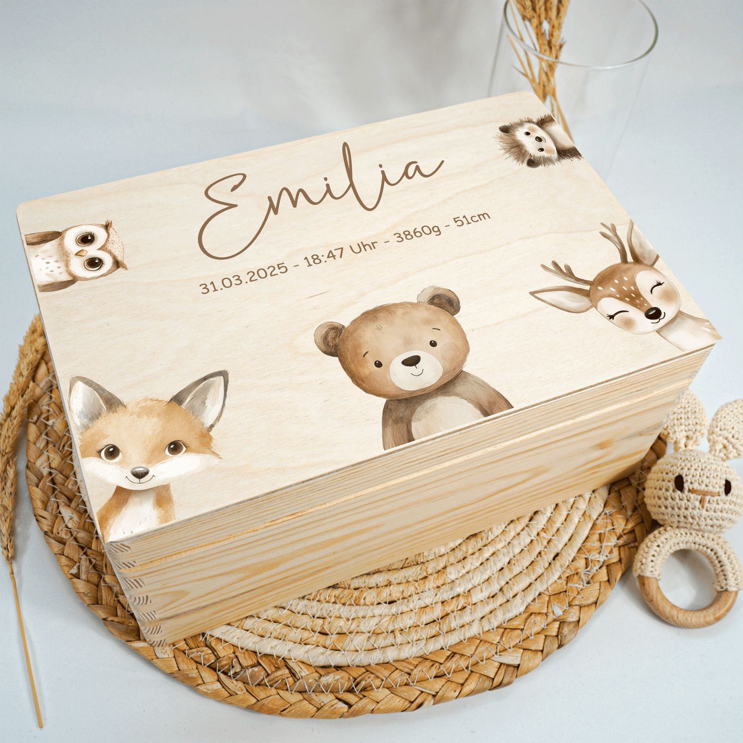 Personalized Memory Box - Baby Lion