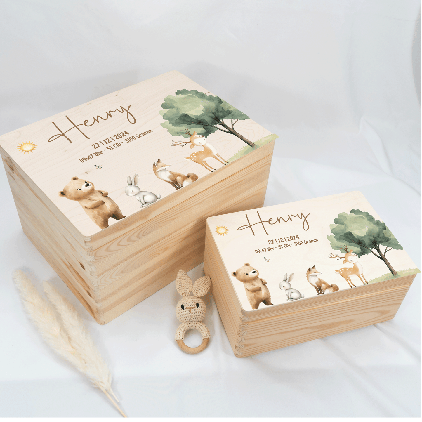 Personalized Memory Box - Baby Lion