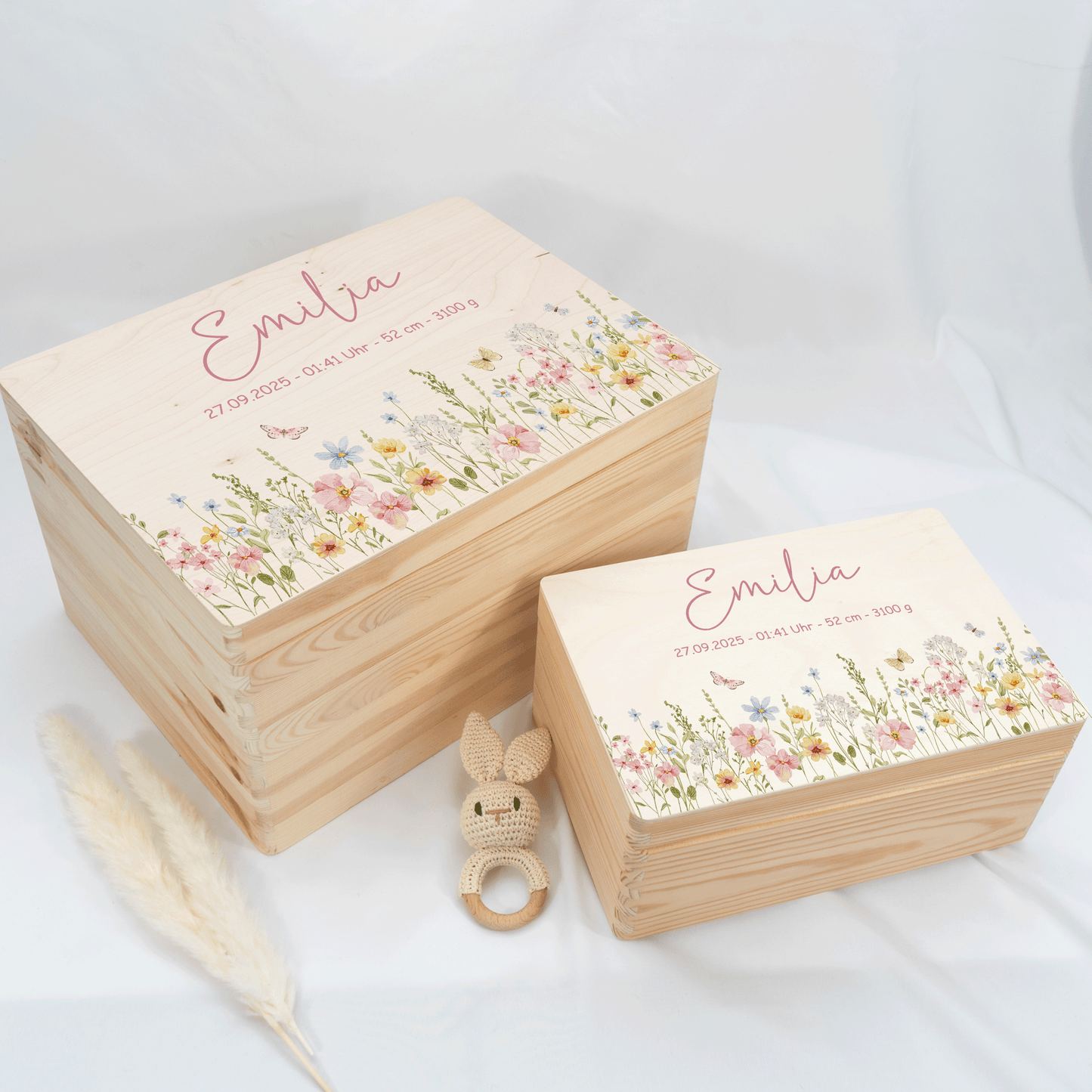 Personalized Memory Box - Baby Lion