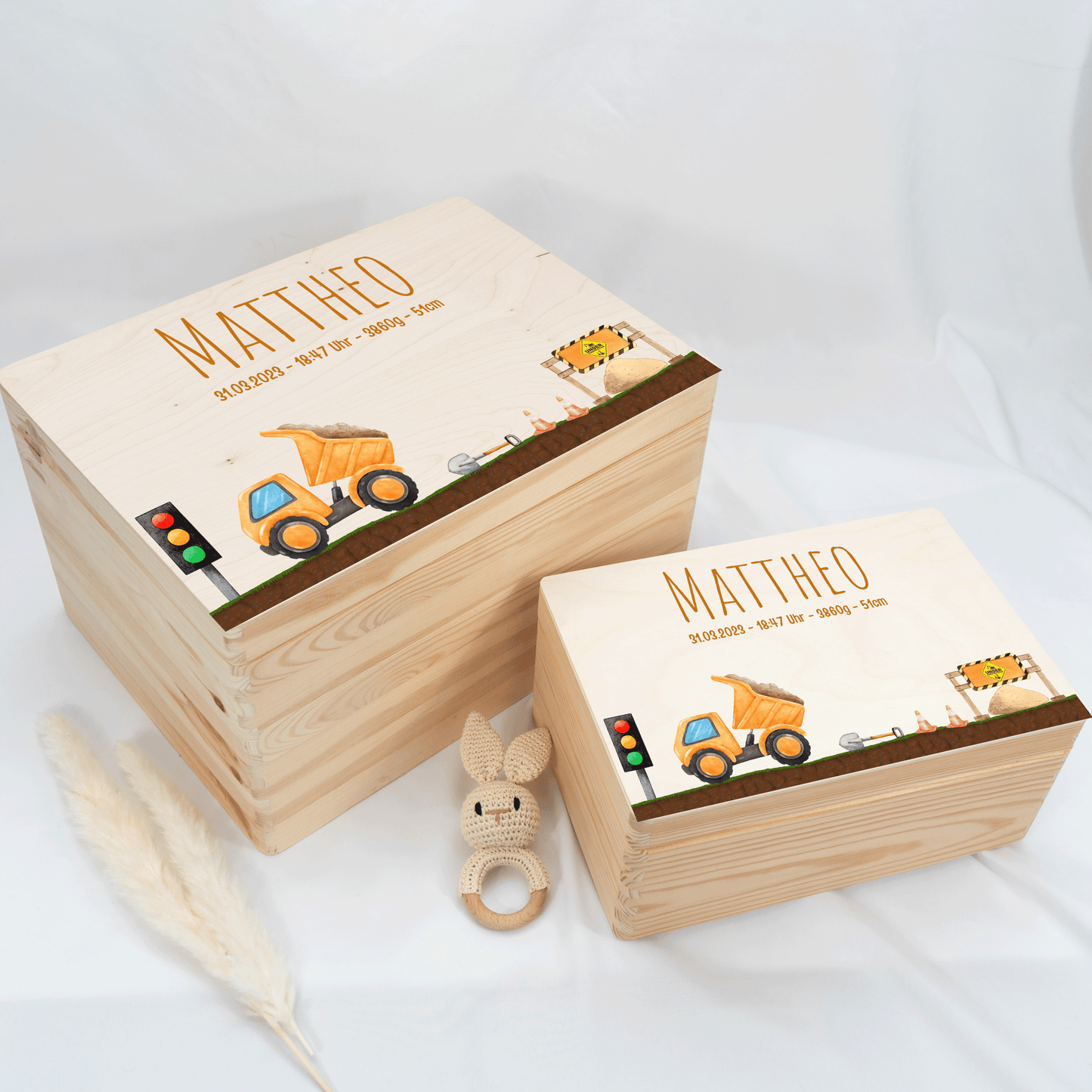 Personalized Memory Box - Baby Lion