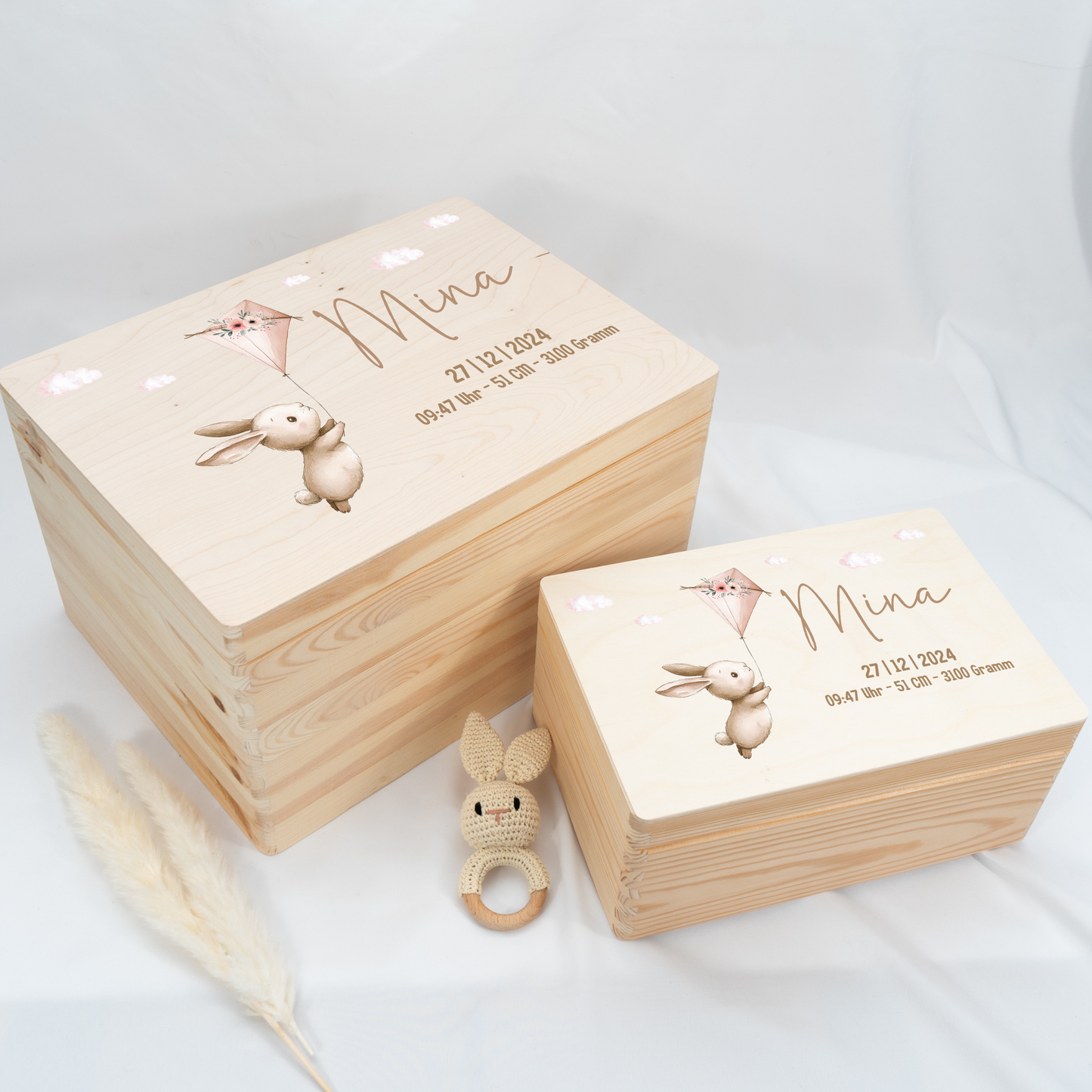 Personalized Memory Box - Baby Lion
