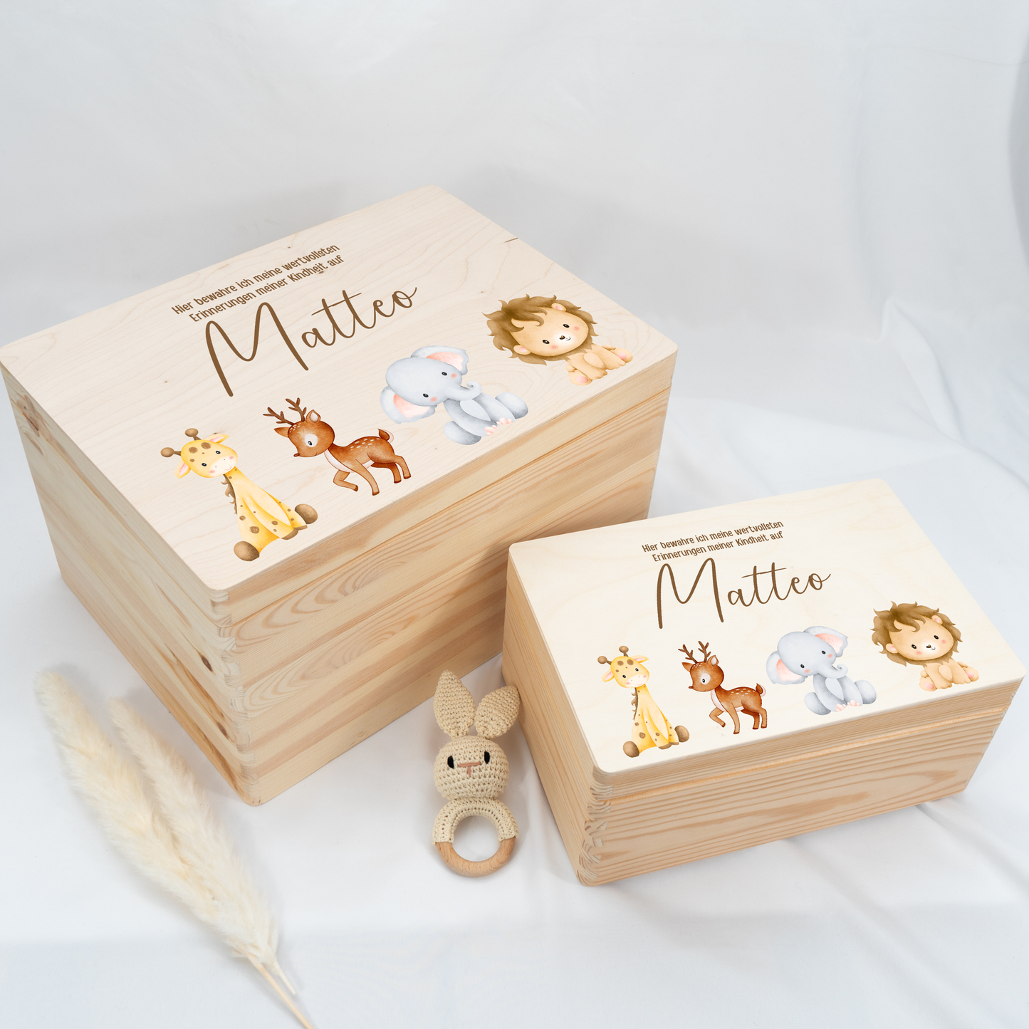 Personalized Memory Box - Baby Lion