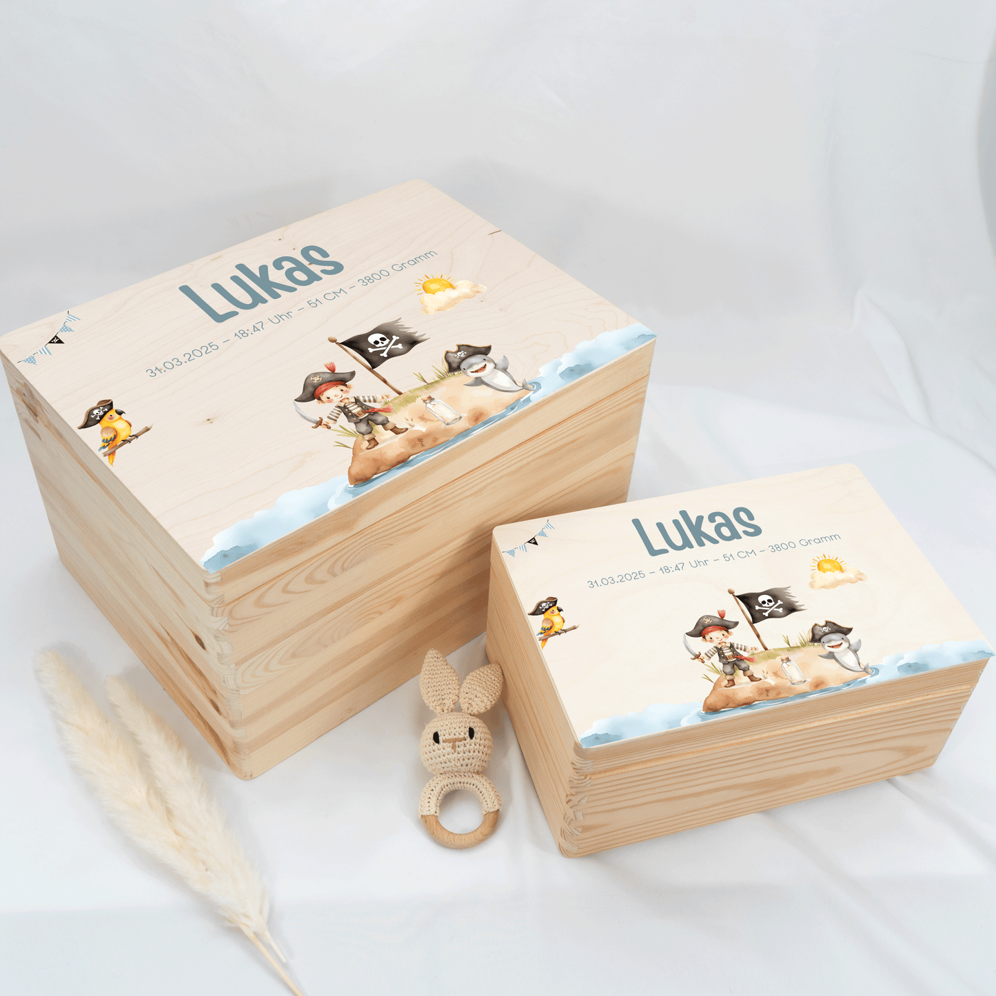 Personalized Memory Box - Baby Lion