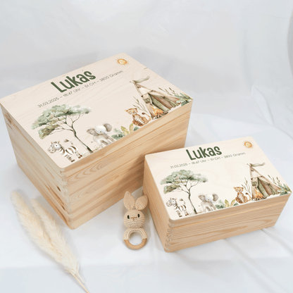 Personalized Memory Box - Baby Lion