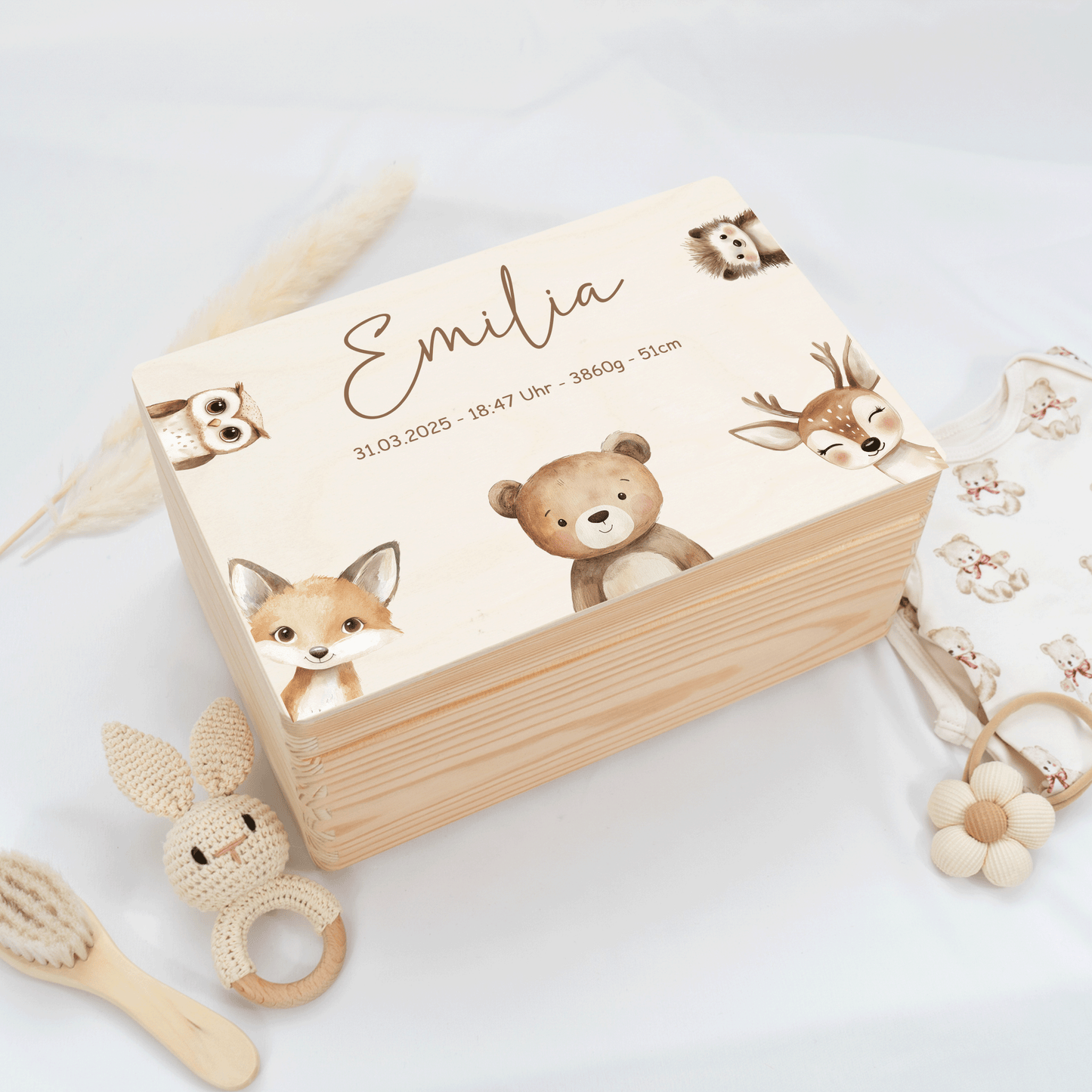 Personalized Memory Box - Baby Lion