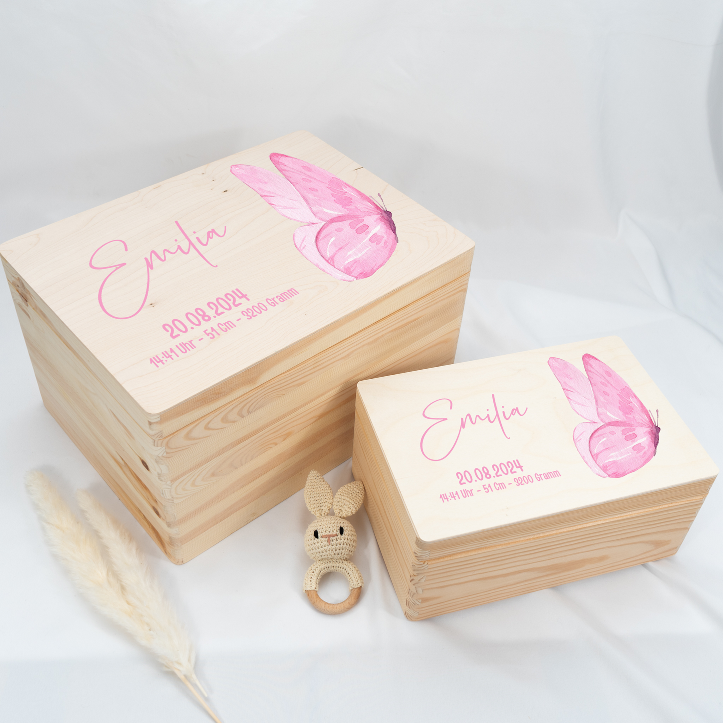 Personalized Memory Box - Baby Lion